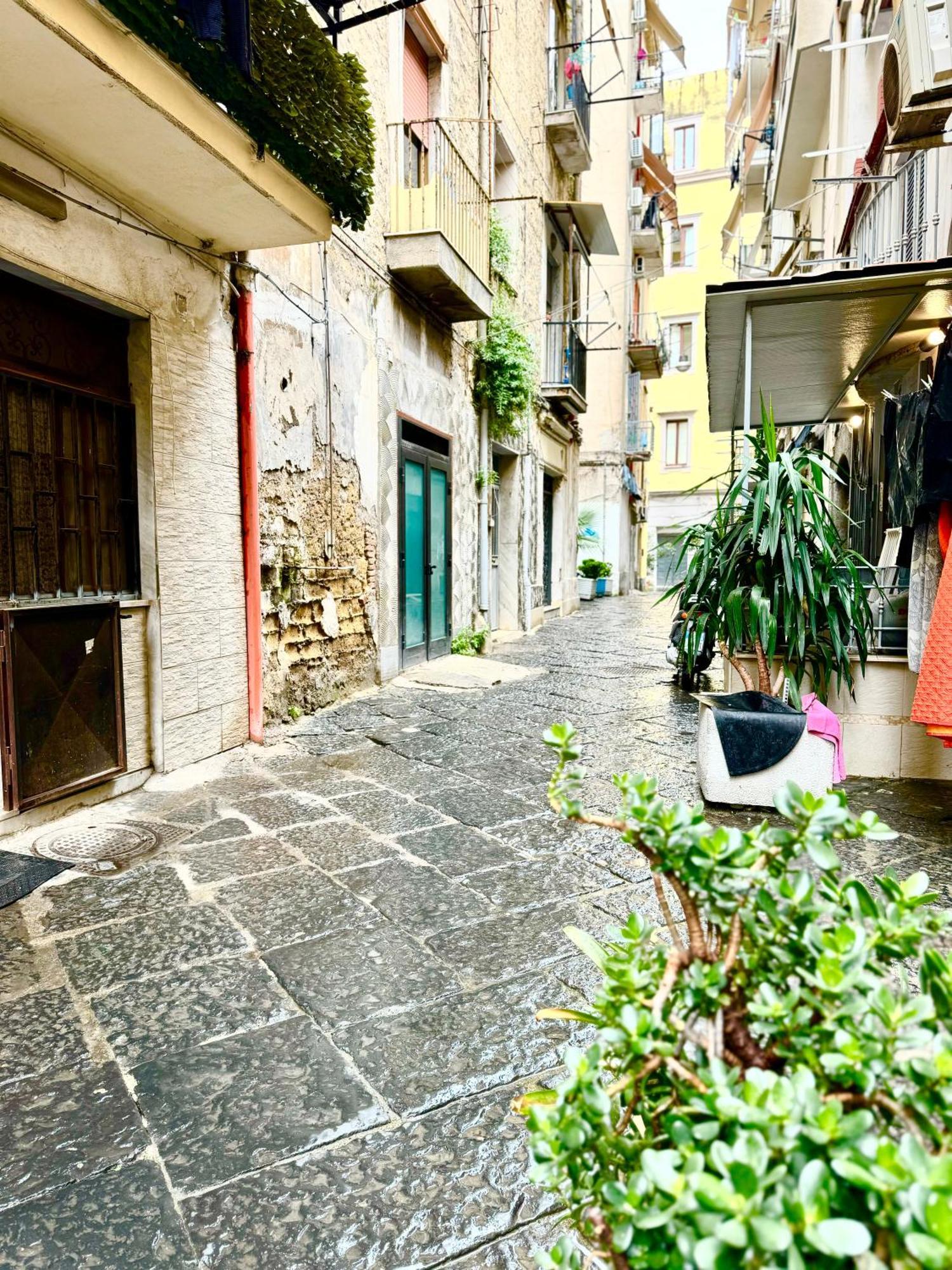 Appartamento Vesuvius House Napoli Esterno foto